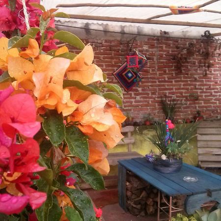 Hostal Nahui Ollin San Cristóbal de Las Casas Exteriér fotografie