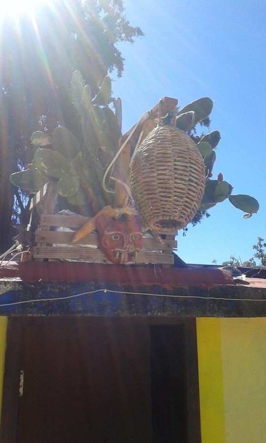 Hostal Nahui Ollin San Cristóbal de Las Casas Exteriér fotografie