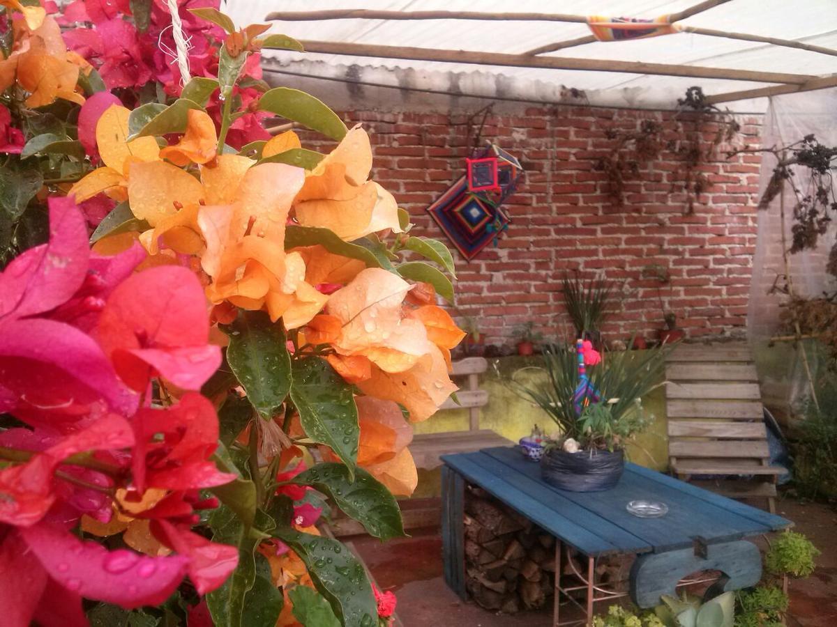 Hostal Nahui Ollin San Cristóbal de Las Casas Exteriér fotografie